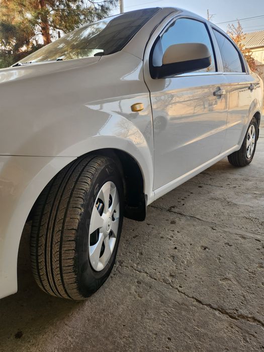 Nekisya ravon aftamat sotiladi