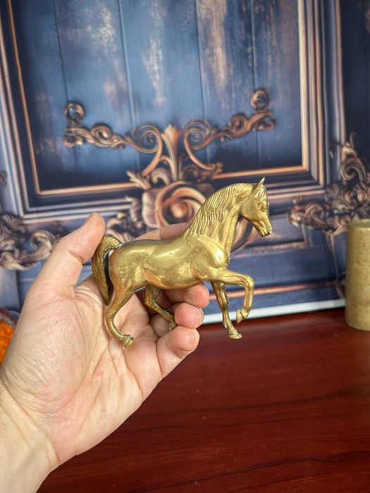 DN348 Cal de alama 306g 12x10 cm