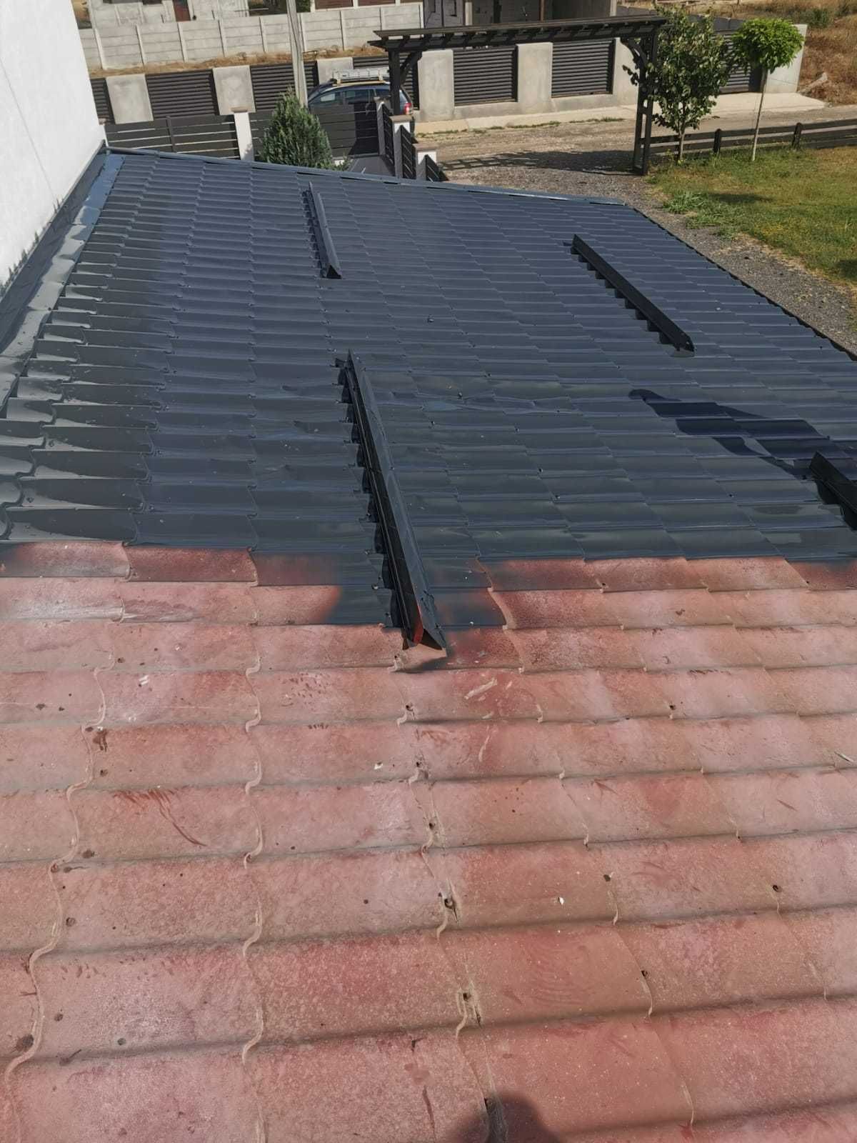 Vopsim orice tip de tabla pe casa, garduri, porti si alte suprafete
