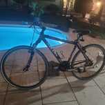 Bicicleta Kelly  Coach