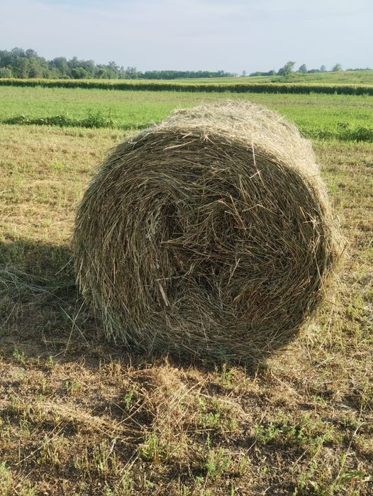 Baloti prima coasă 120/120