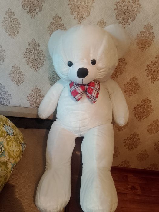 Мягкий сильный медведь