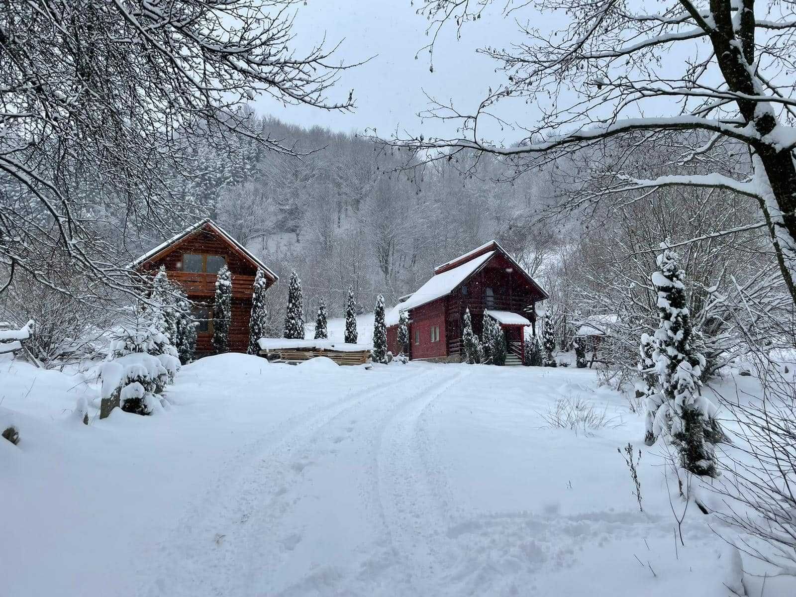 Cabane de inchiriat / Grosii Tiblesului