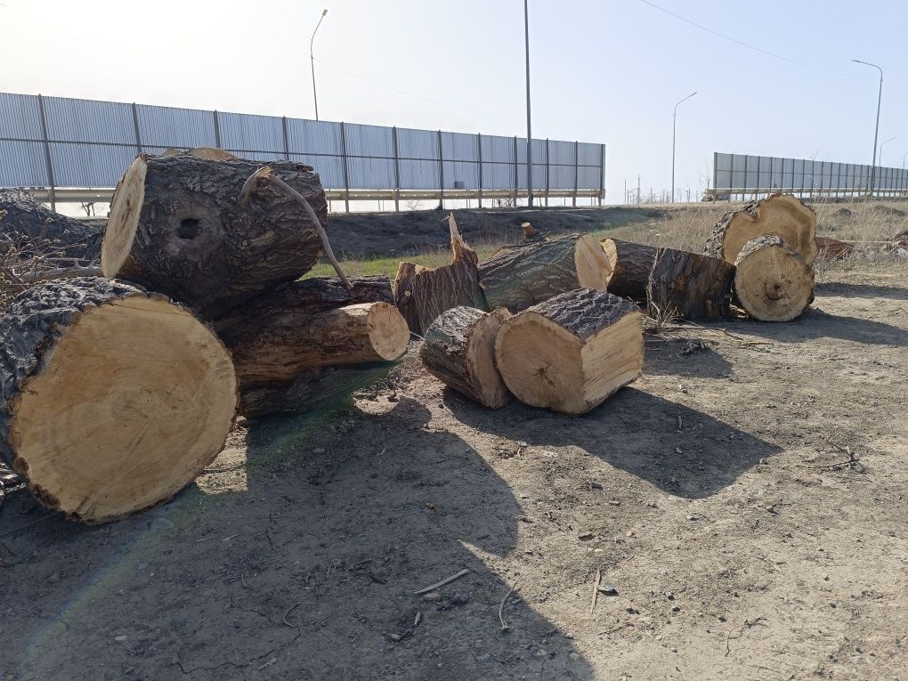 Продам дрова цена 10000 "самовывоз"