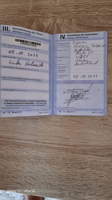 Câine ciobănesc german