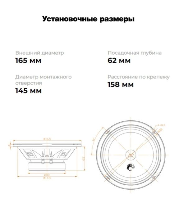 DL audio PIRANHA 165v2