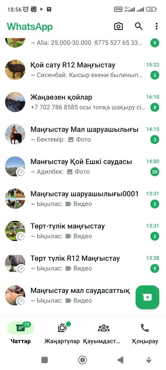 Қой,ешкі,сиыр,жылқы түйе