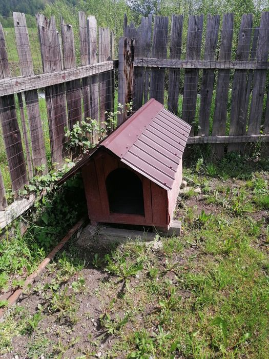 Cușcă căine, stare bună.
