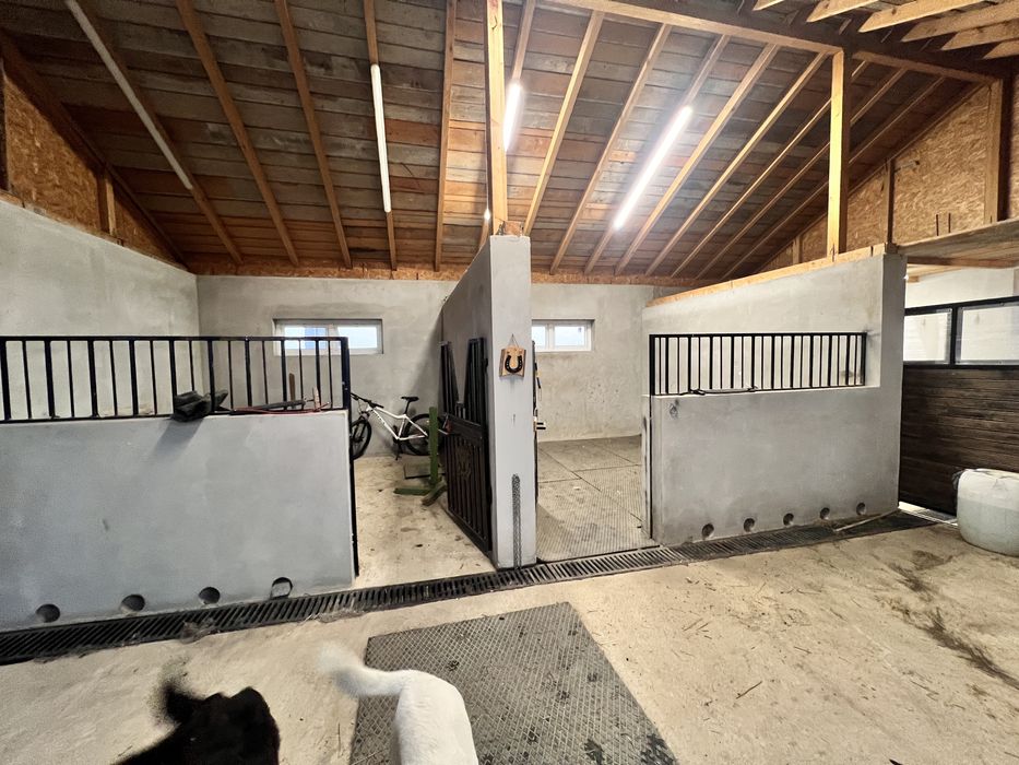 Inchiriez grajd cu manej pentru 2 cai