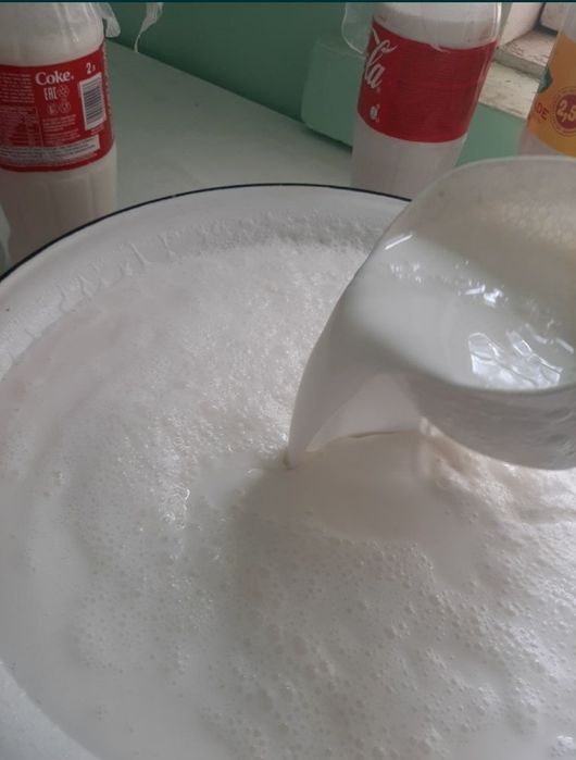 Домашний Кымыз Шубат. Кумыс. Қымыз Курт, Құрт,