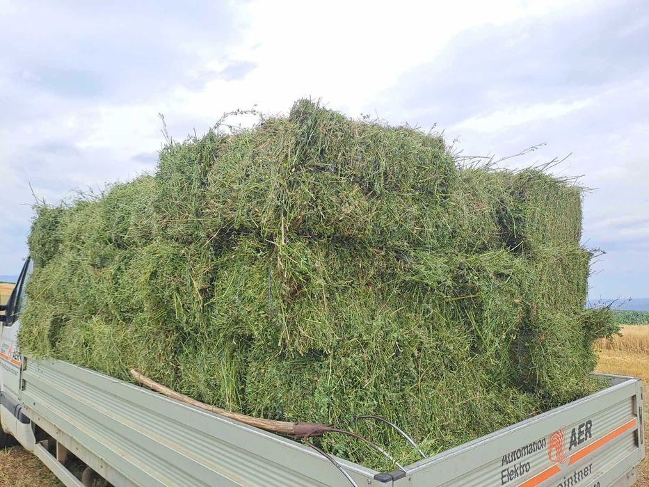 Vand baloti de lucerna- coasa 3 si 4- 20 ron- jud. BRASOV