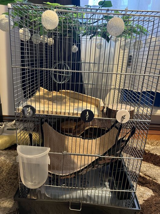 Cusca animale completa