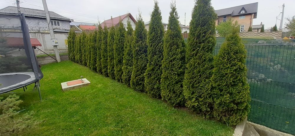 Vând casă falticeni