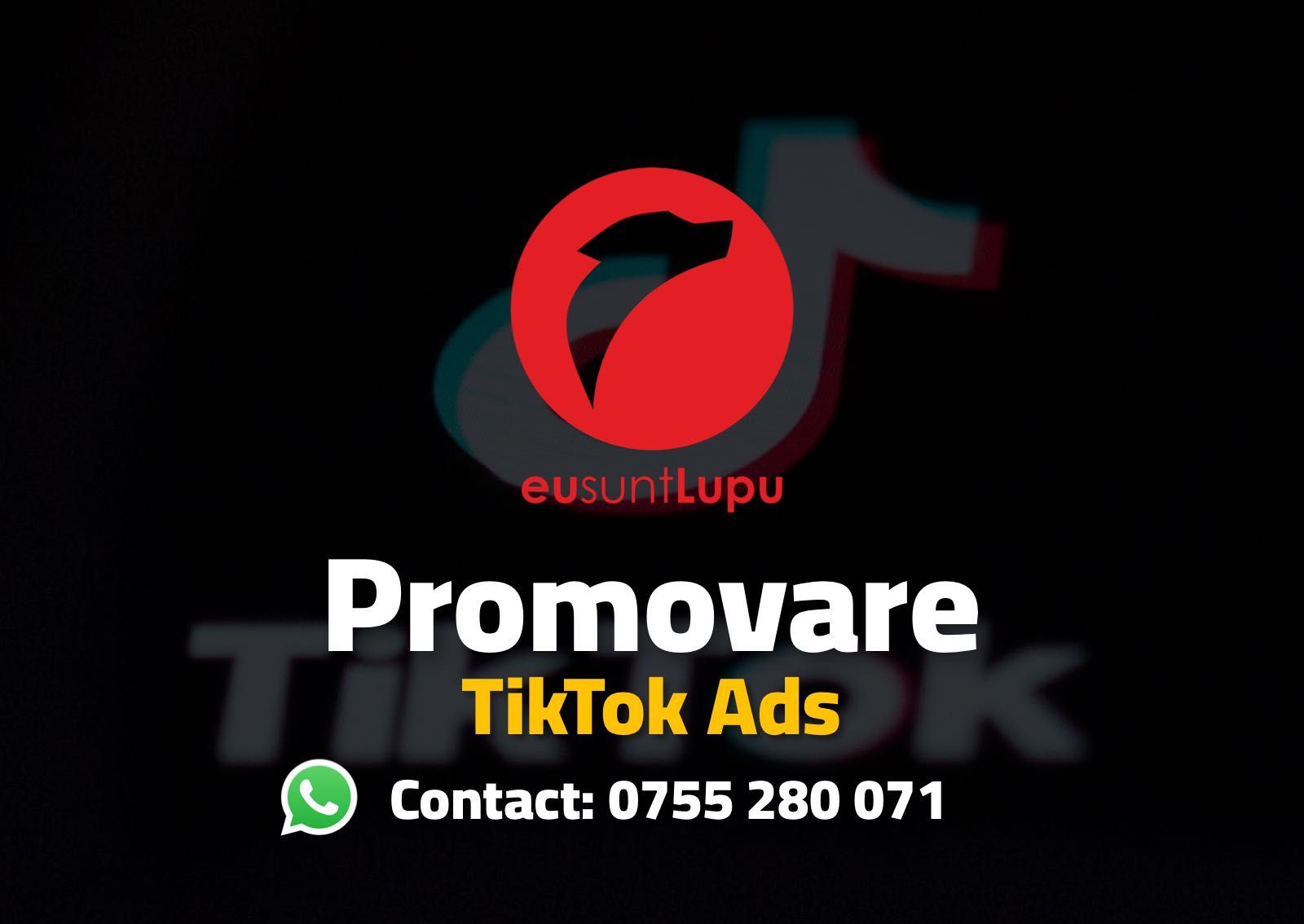 +Promovare online reclame & publicitate Google Facebook TikTok Youtube