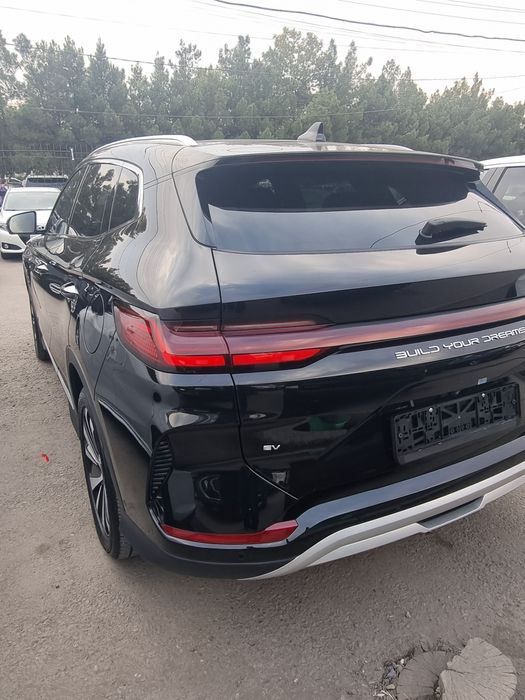 BYD chipion 605 ful