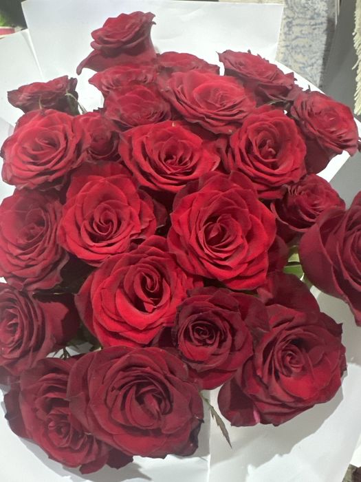Голландских 25 роз!!! Свежие!!!