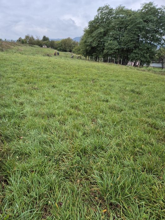 Teren 1.500 mp Sighetu Marmației