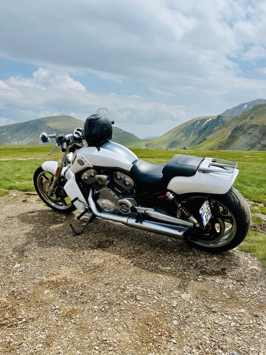 Harley Davidson VRod Muscle