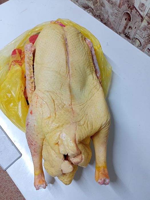 Продам гусей домашнее за 1 килограмм 3000 свежий запой