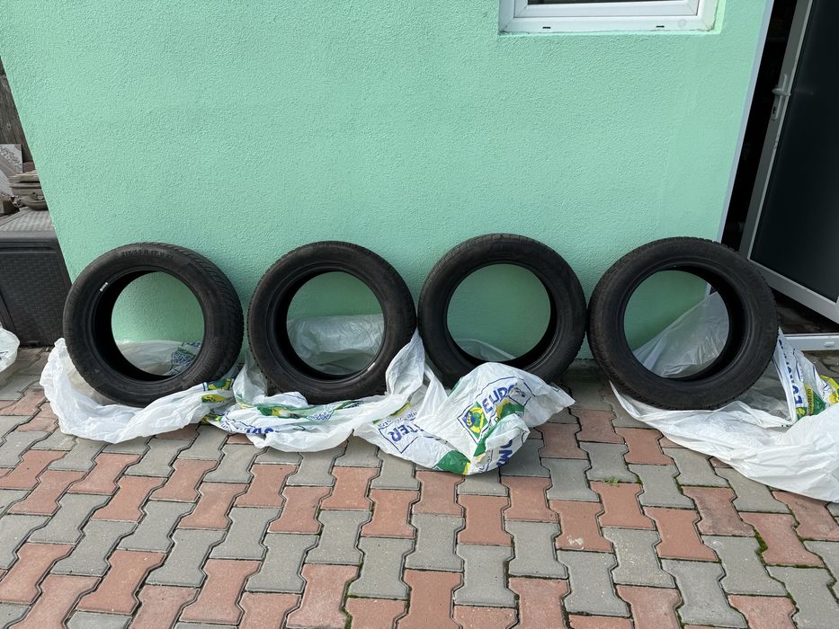 Anvelope Iarna 215/55R17