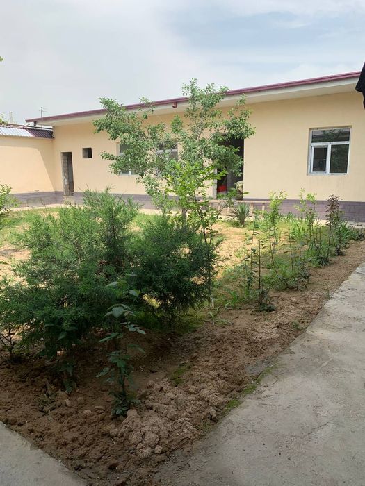 Bektemir vodnik 3 sotix yer