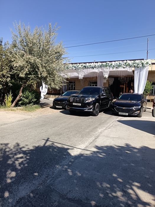 Малибу 2 хизмати, закс, роддомдан чикариш мехмон кутиб олиш хизмати