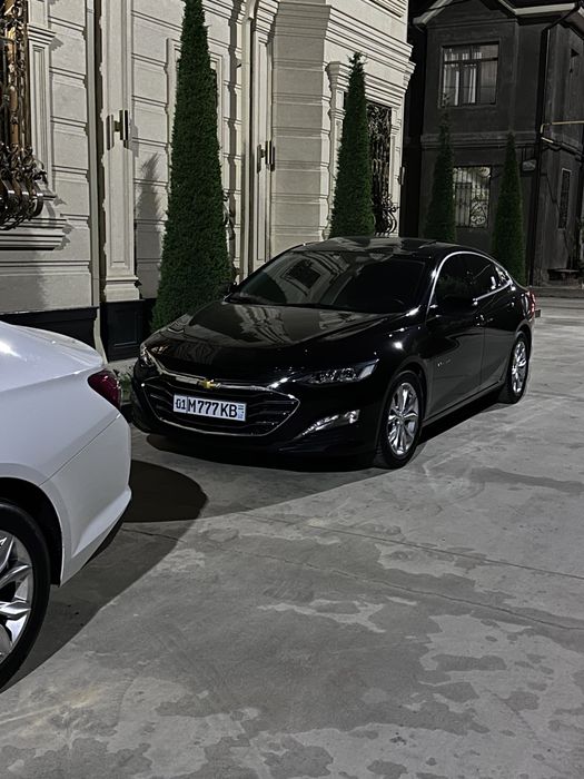Malibu Primier 2022