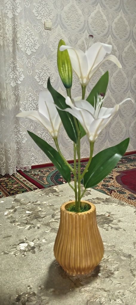 Декоративные цветы