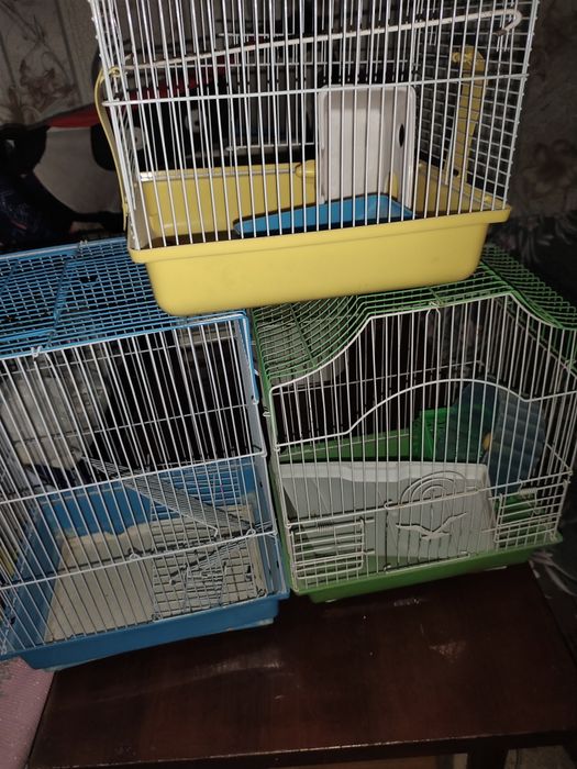 Продаются  клетки  для животных.