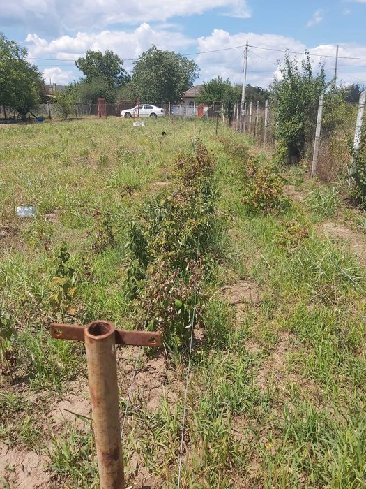 Teren de vânzare în zona Merei