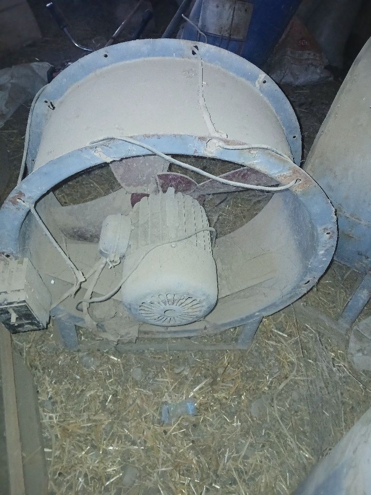 Veltinatsiya sotiladi.