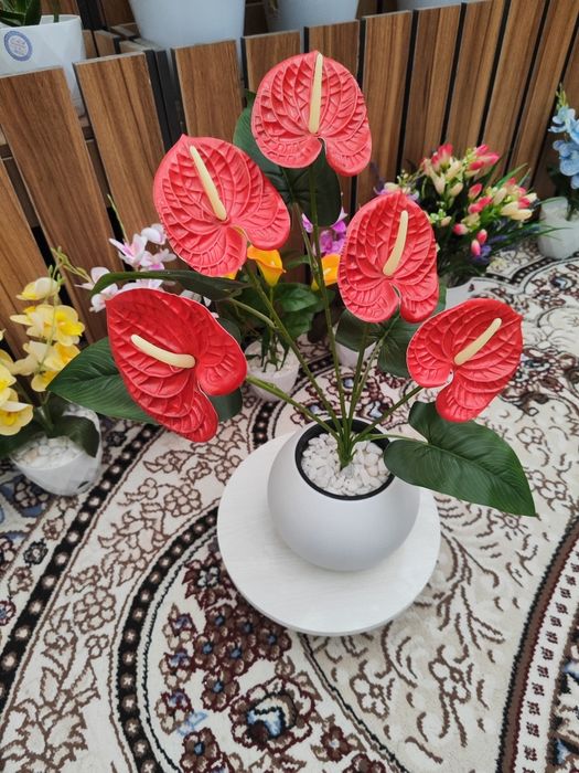 Декоративный цветы кашпо горшки дерево оптом