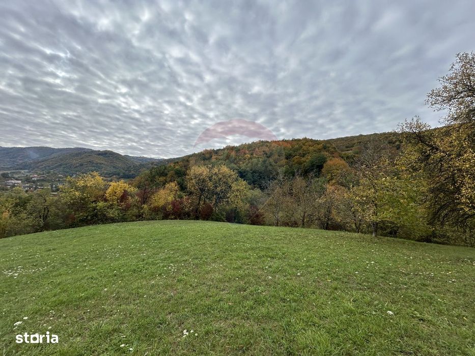 Teren 2,000mp Copalnic-Manastur / Strada Principala