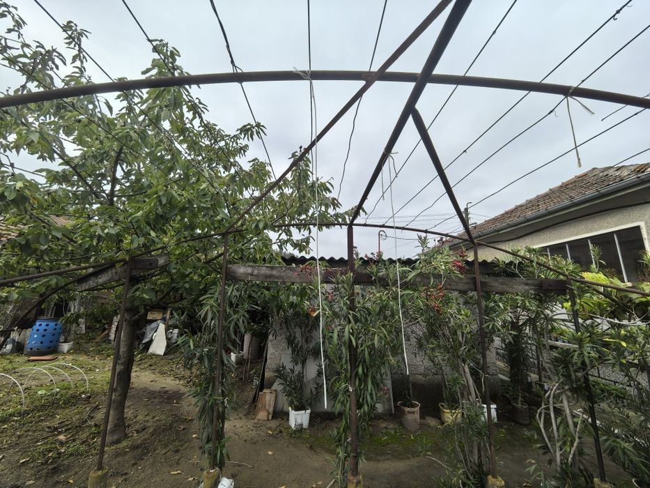 Оранжерия 28 метра