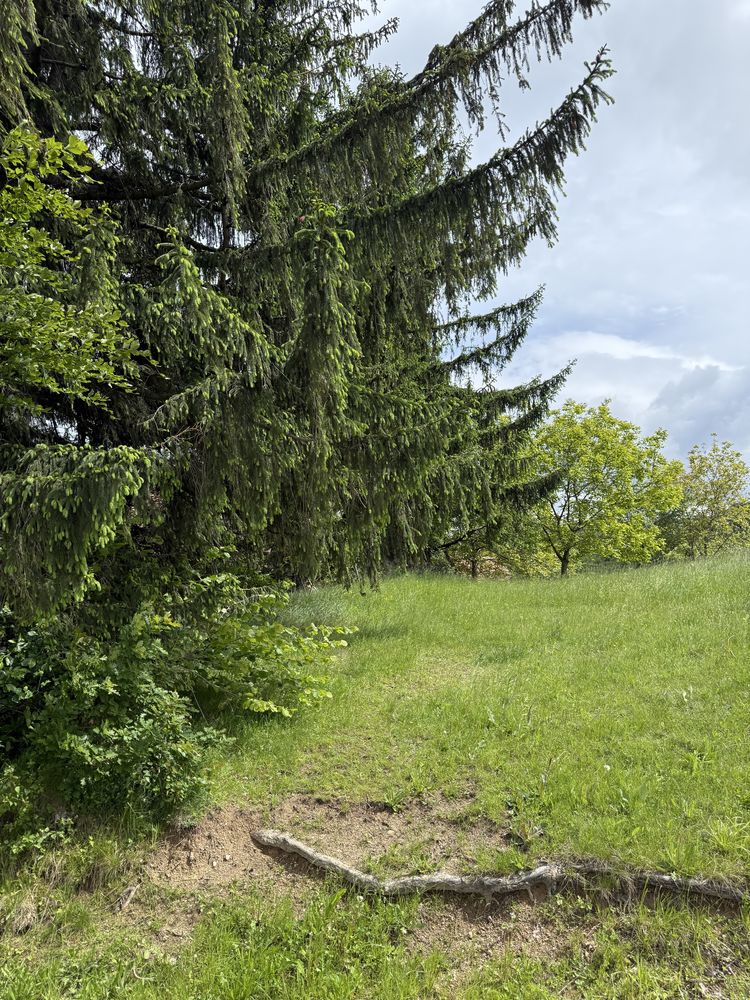 Teren cu intravilan de 3477 mp cu priveliste deosebita