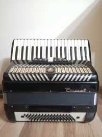 Acordeon Parrot 96 basi