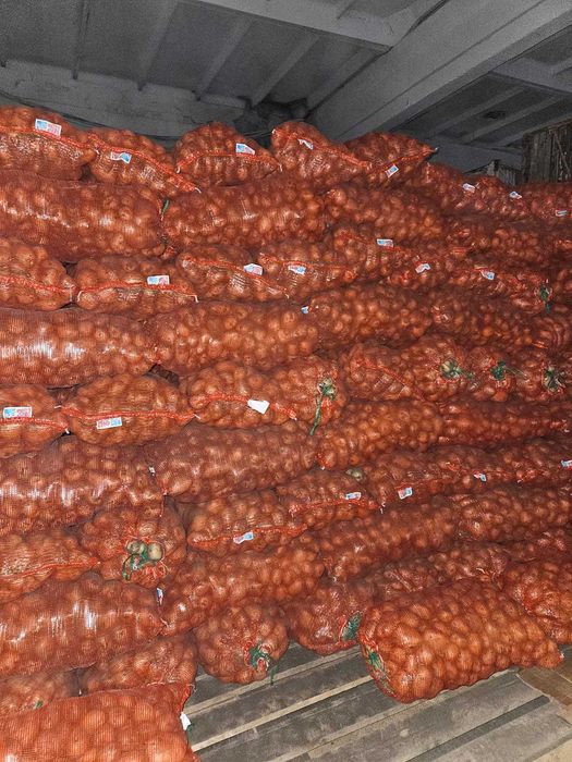 Картофель от 10 тонн продажа в Петропавловске