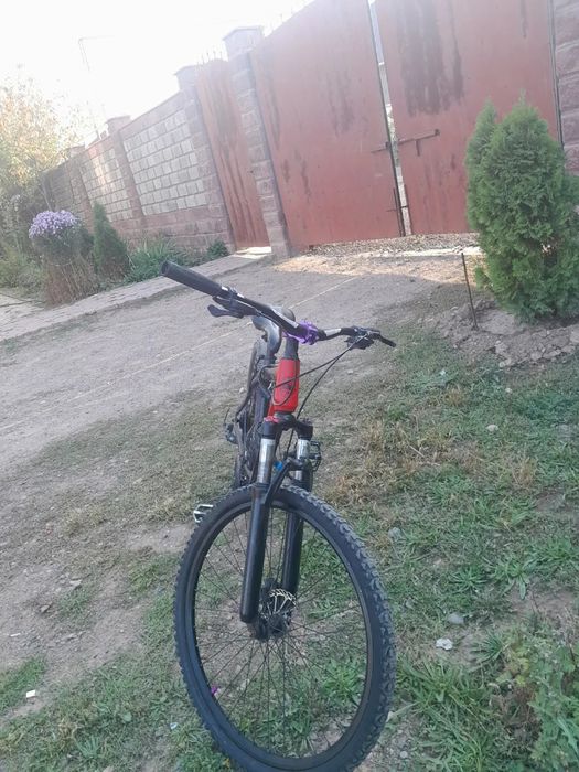 Стант велик тианс