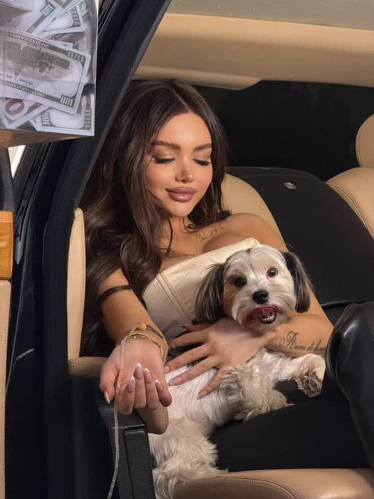 Йоркширский Бивер