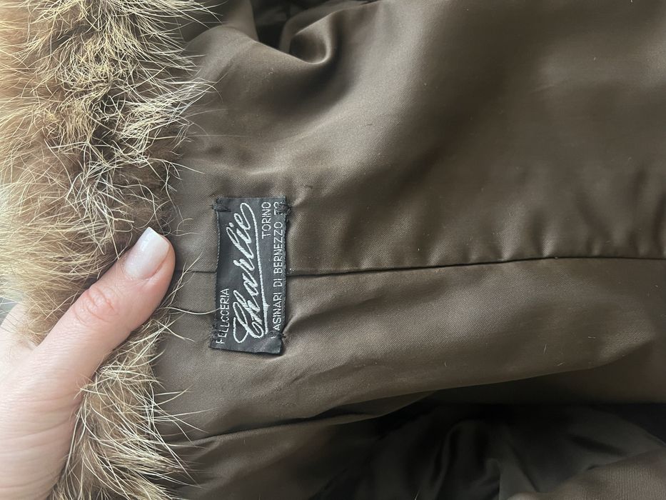 Blana de urs nepurtata