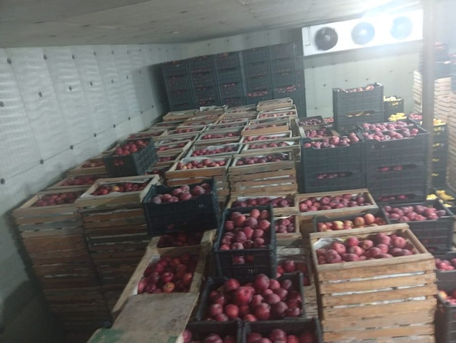 Яблоки высшего сорта!