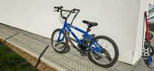 Bmx X Rated Quarter