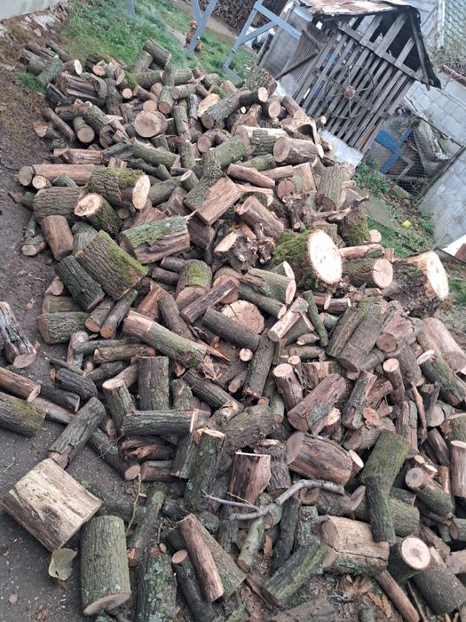 vand lemn de foc uscate