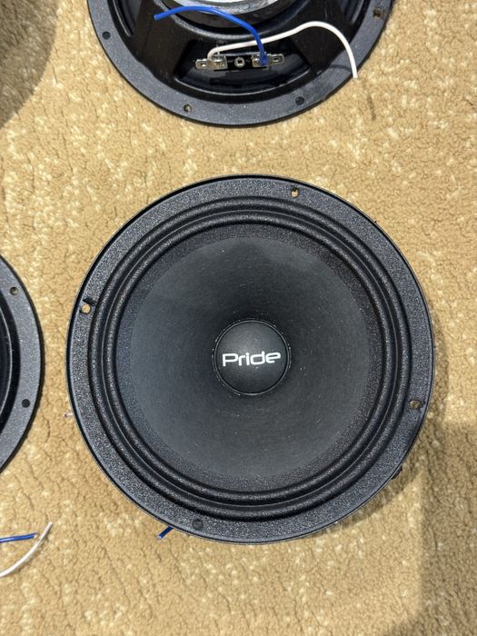 Pride rybi voice ver 2, 150w номинал