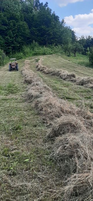 Baloti de fan de anu asta