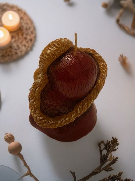 Lumânare Decorativă Ursulet de Crăciun