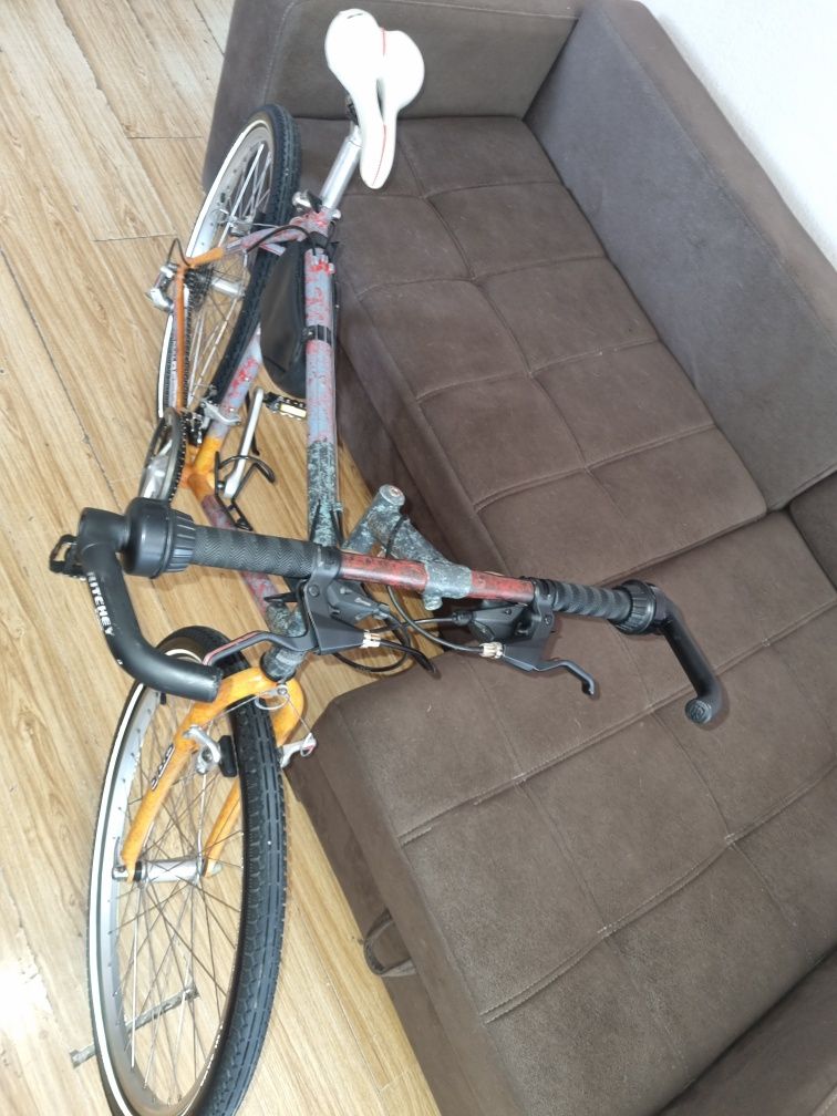Velo professional