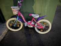 Bicicleta polar fetite