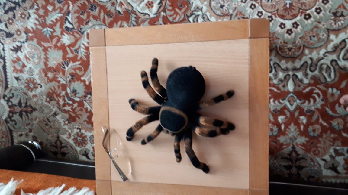 tarantula cu telecomanda