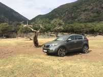 Kia Sportage III 2.0 CRDI 136hp AWD automatic - incurajez verificarea